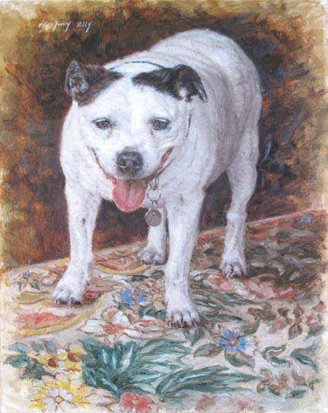Custom Pet Portrait Commissions