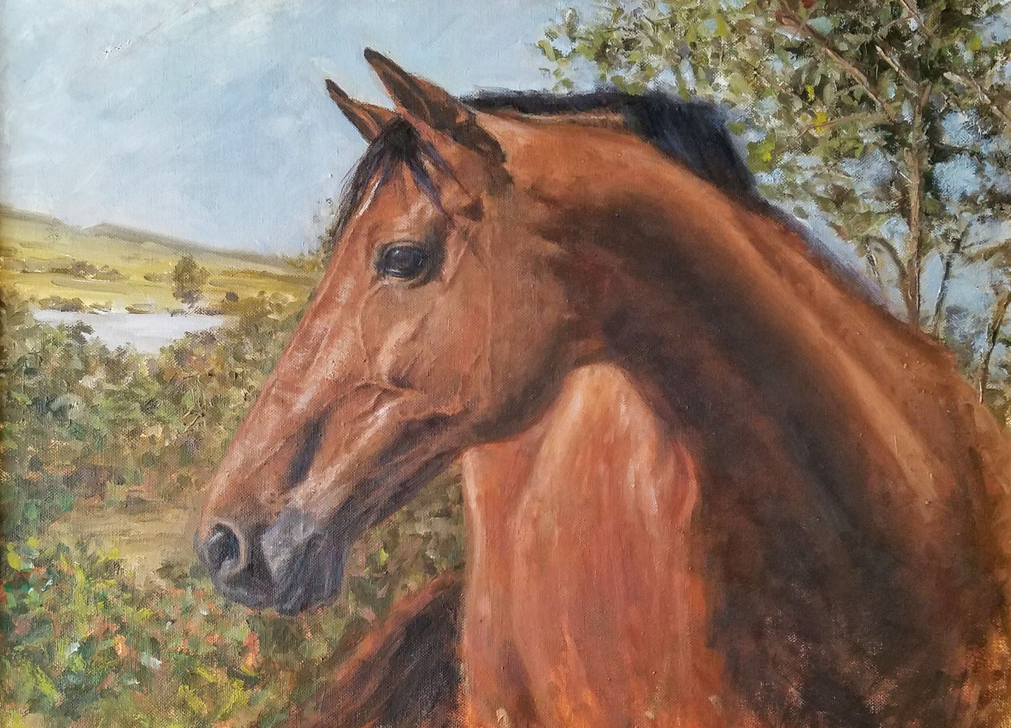 Custom Pet Portrait Commissions