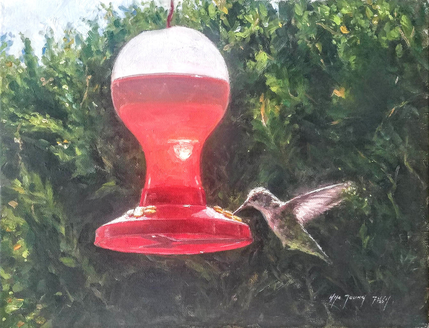 Hummingbird drinking(Original Oil/Fine Art Prints)