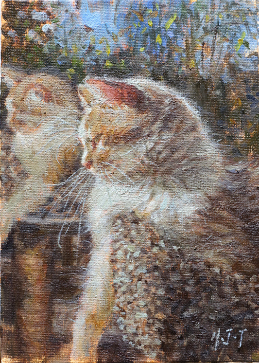 White and Yellow Cat By The Window