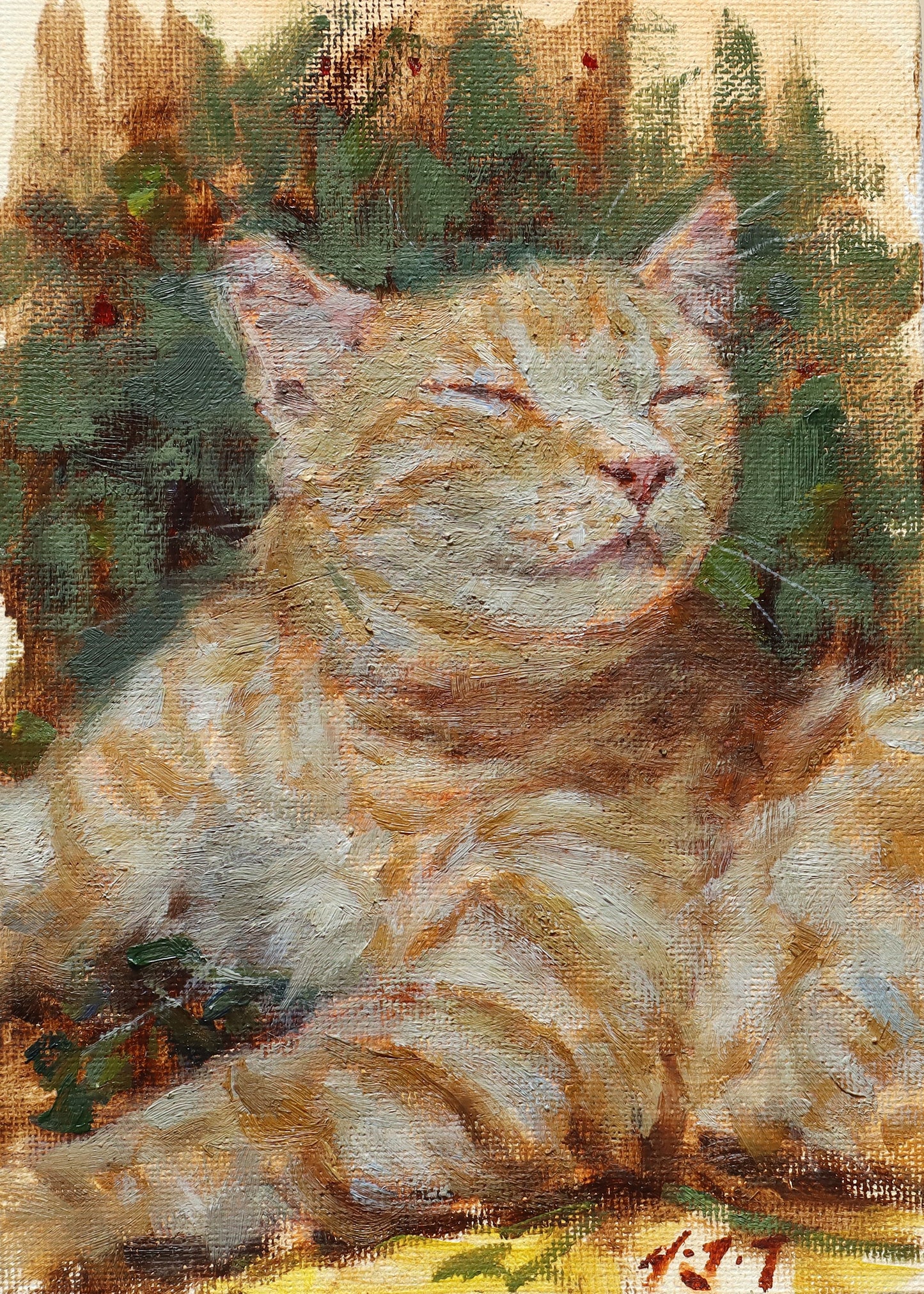 Content Ginger Cat(Original Oil)