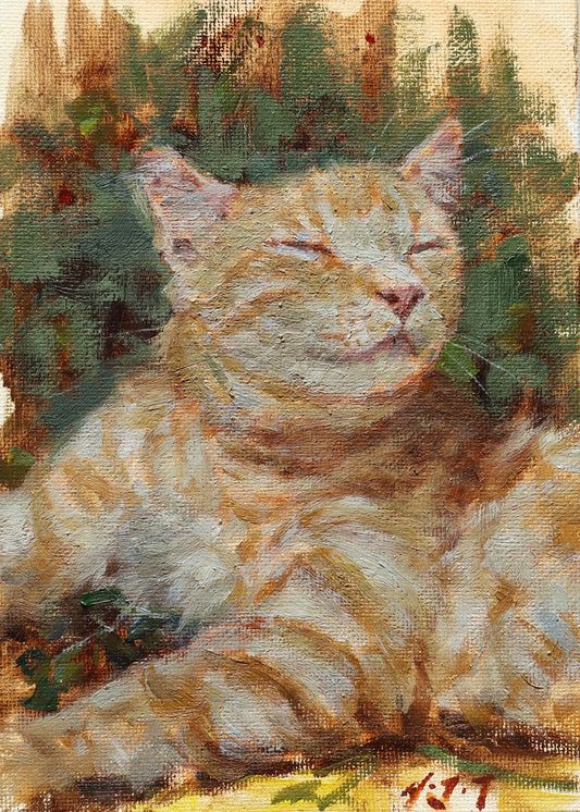 Content Ginger Cat(Original Oil)