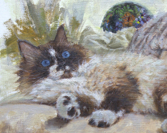 Ragdoll kitty lounging(Oil Painting/Fine Art Prints)
