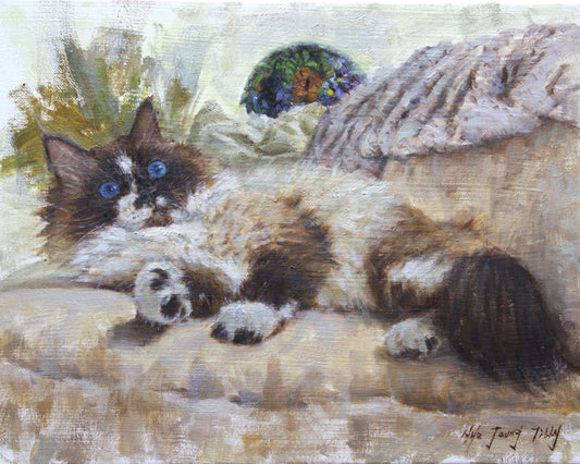 Ragdoll kitty lounging(Oil Painting/Fine Art Prints)
