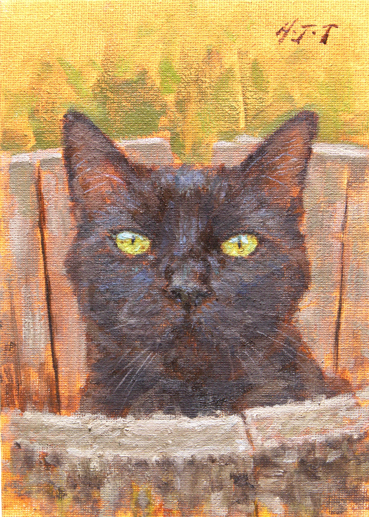 Yellow eyed Black kitty(Original Oil)