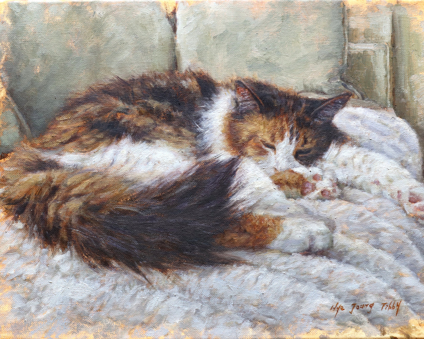 Sleeping Calico Cat-Fine Art Prints