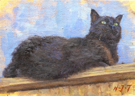 Black cat on the fence(Original Oil)