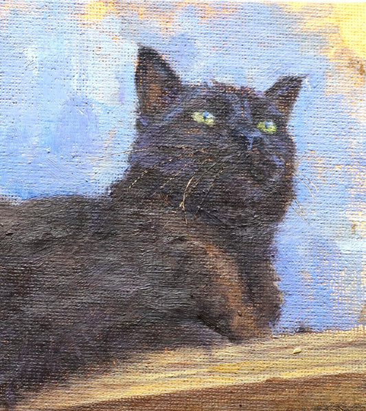 Black cat on the fence(Original Oil)
