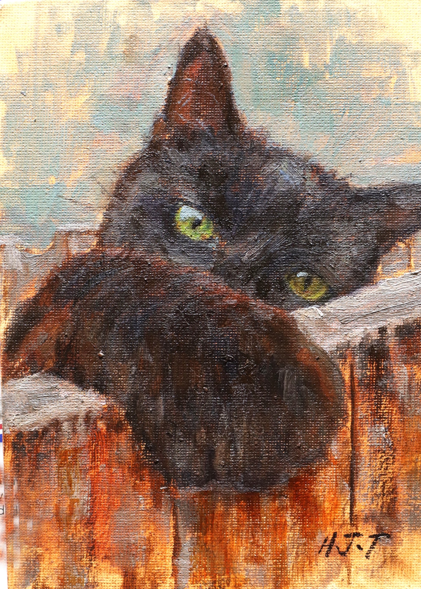 Black kitty pawing(Original Oil)