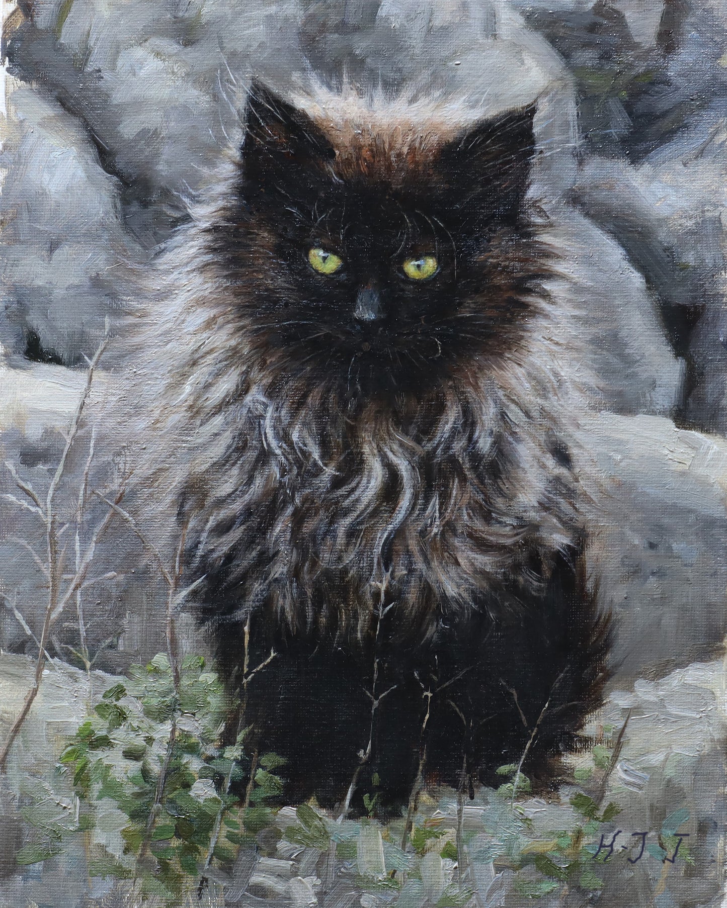 Grey Black Kitty(Original Oil)
