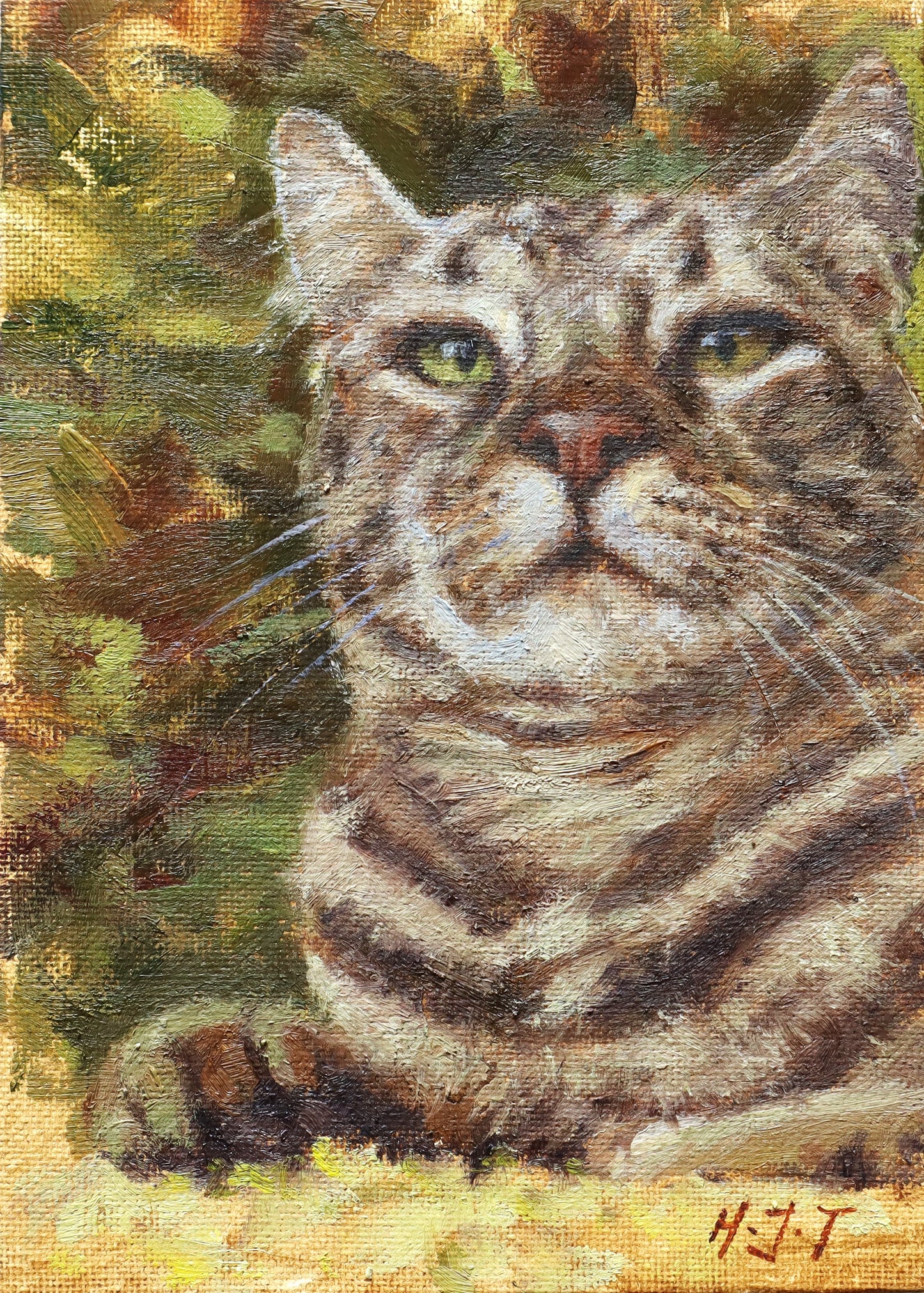 The Boss Tabby Cat(Original Oil)