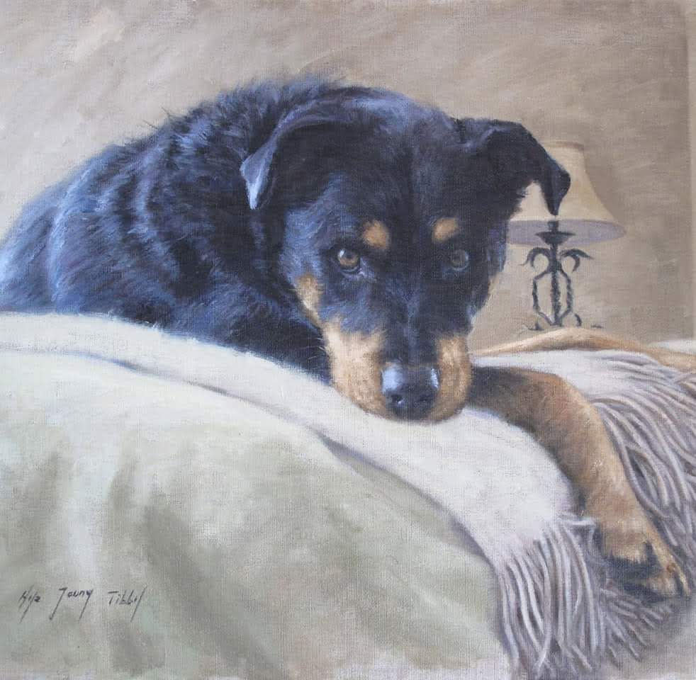 Custom Pet Portrait Commissions
