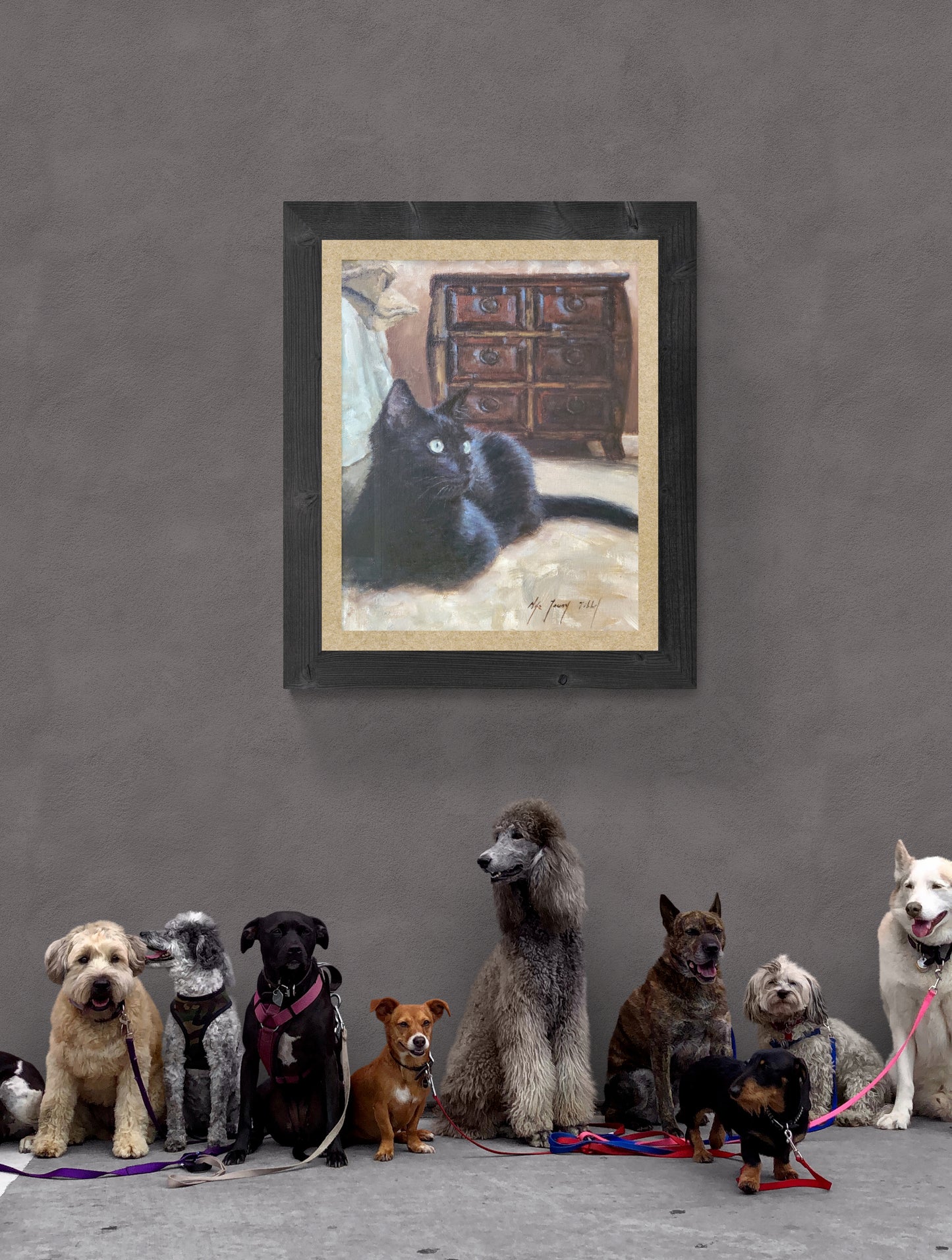 Black Cat Staring-Fine Art Prints