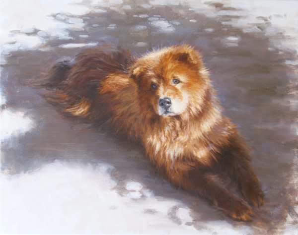 Custom Pet Portrait Commissions