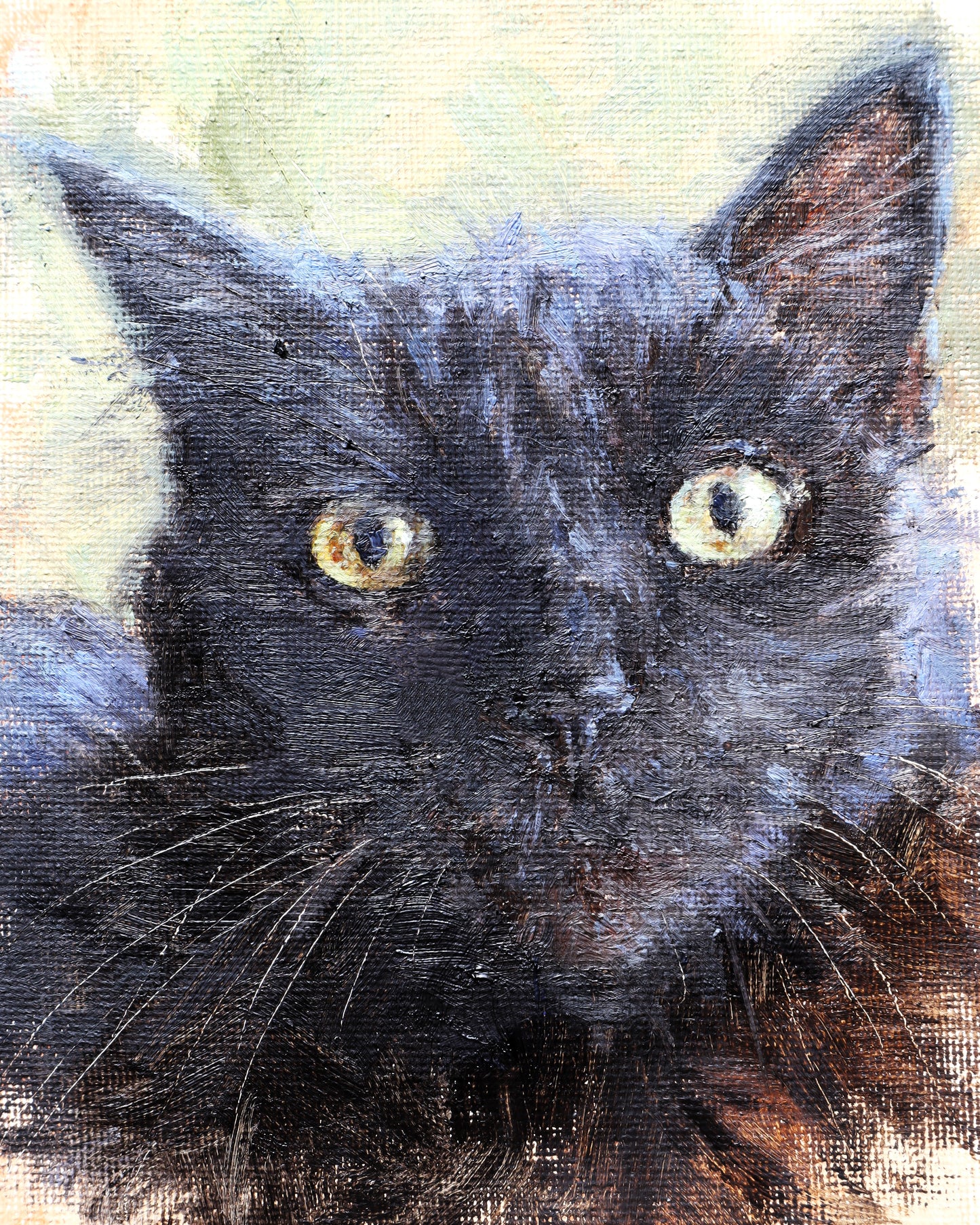 The gaze of black cat(Original Oil)