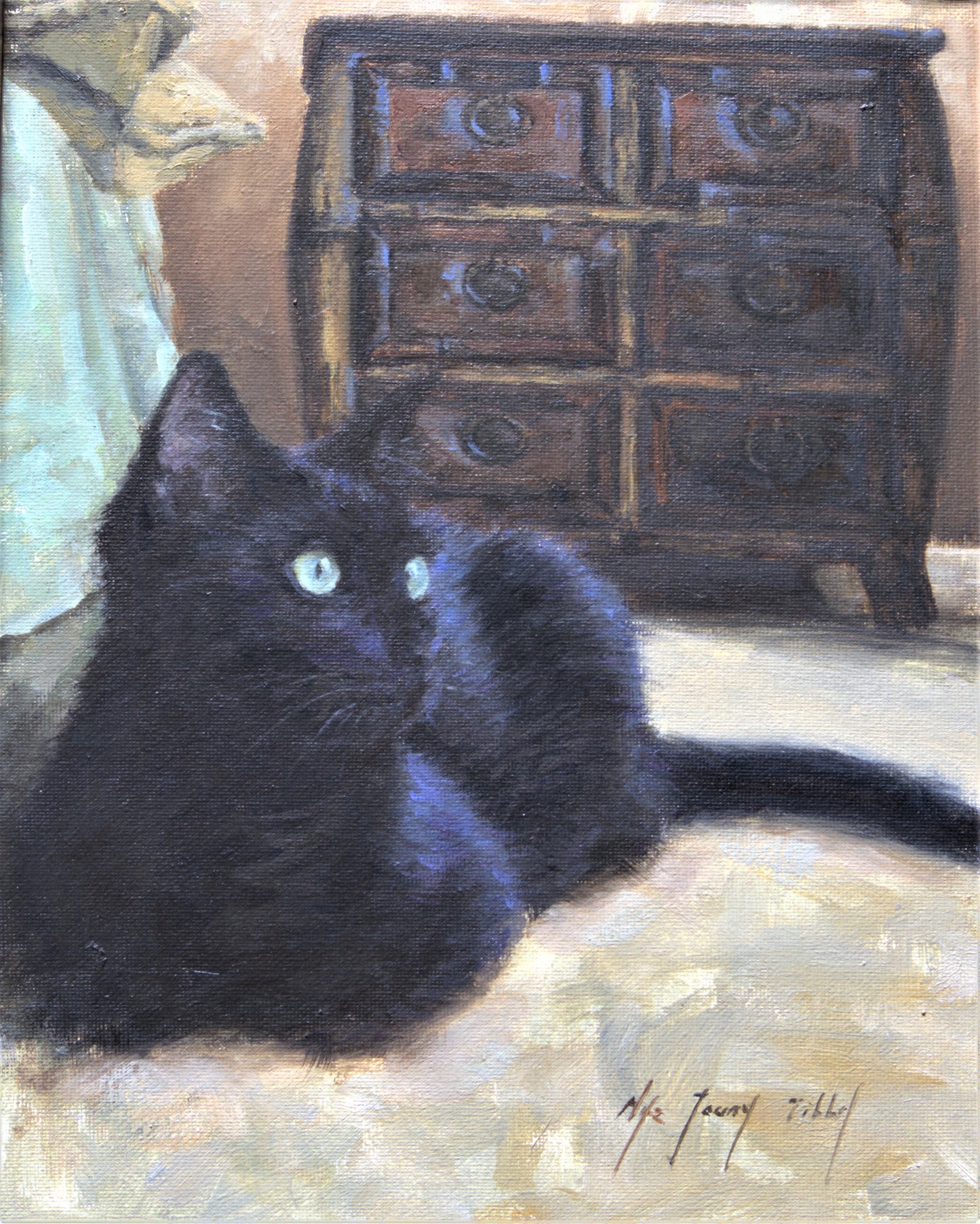 Black Cat Staring-Fine Art Prints