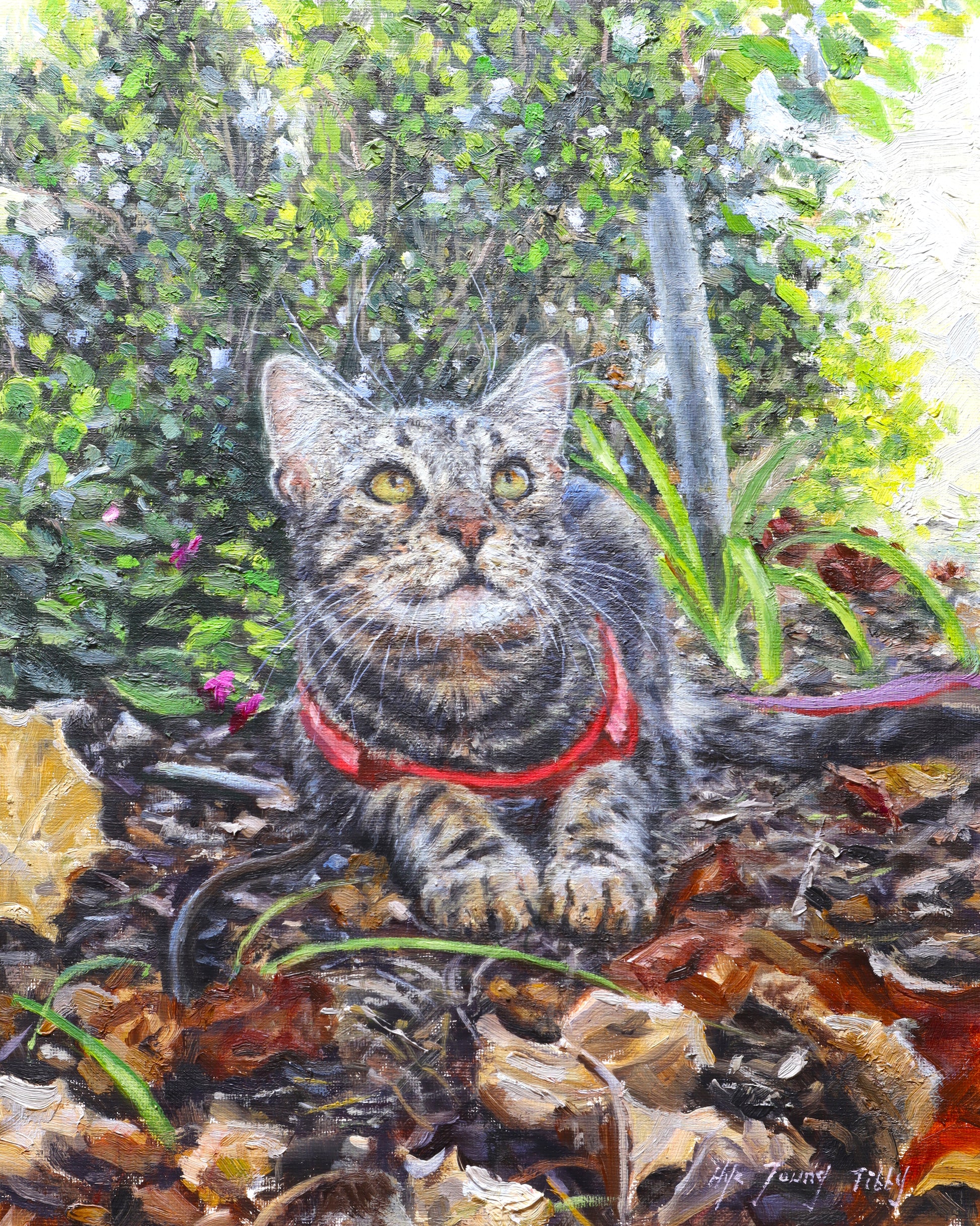 SPEEDY WATCHING BIRDS