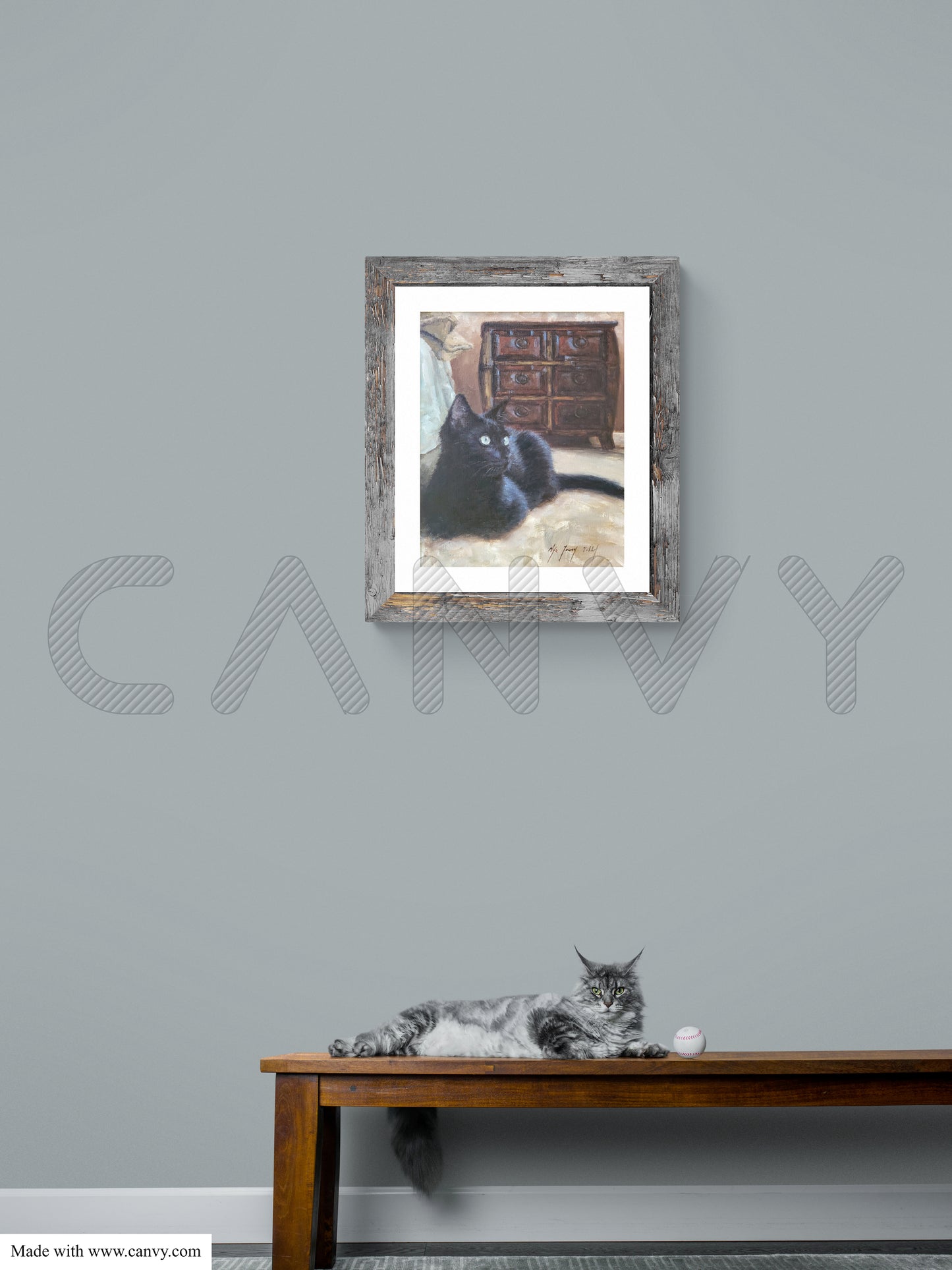 Black Cat Staring-Fine Art Prints