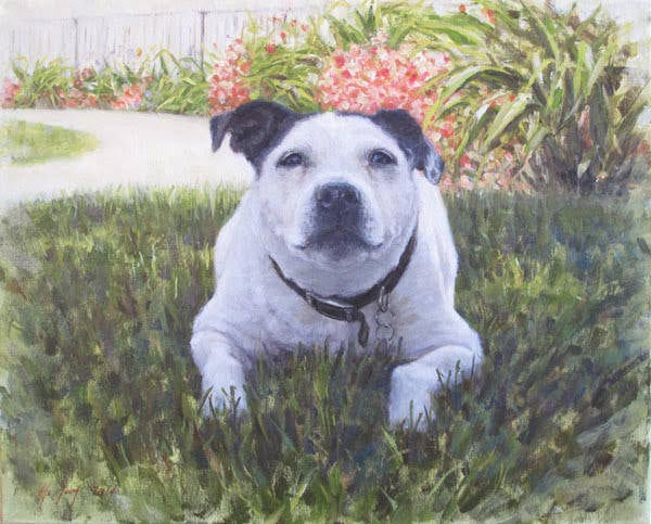 Custom Pet Portrait Commissions