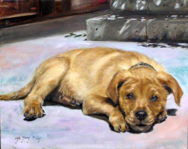 Custom Pet Portrait Commissions